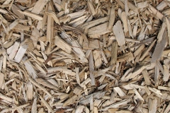 biomass boilers Shelf